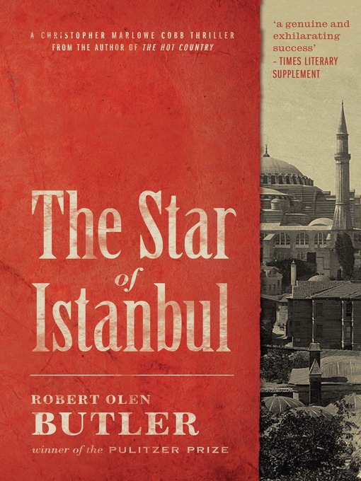 Cover image for The Star of Istanbul